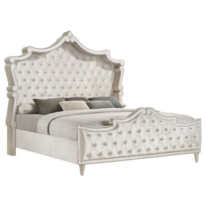 Antonella - Upholstered Panel Bed